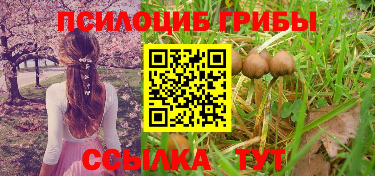 Галлюциногенные грибы ЛСД  Галлюциногенные грибы Magic Shrooms  Вход с VPN  Десногорск 